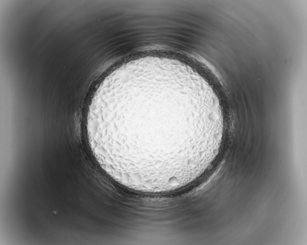 X0000094320921200711301205