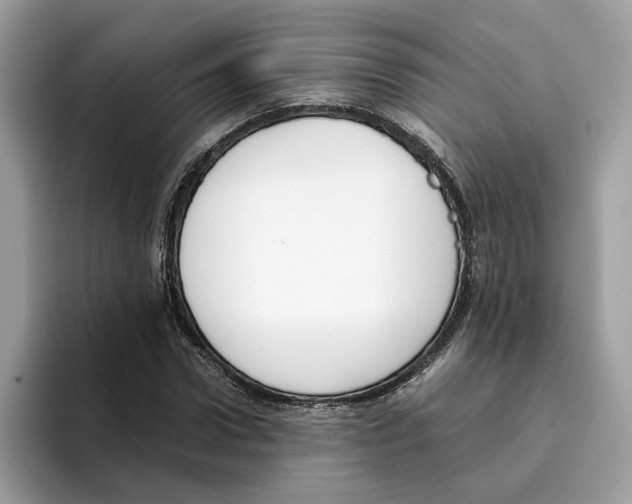 X0000094320922200711301205