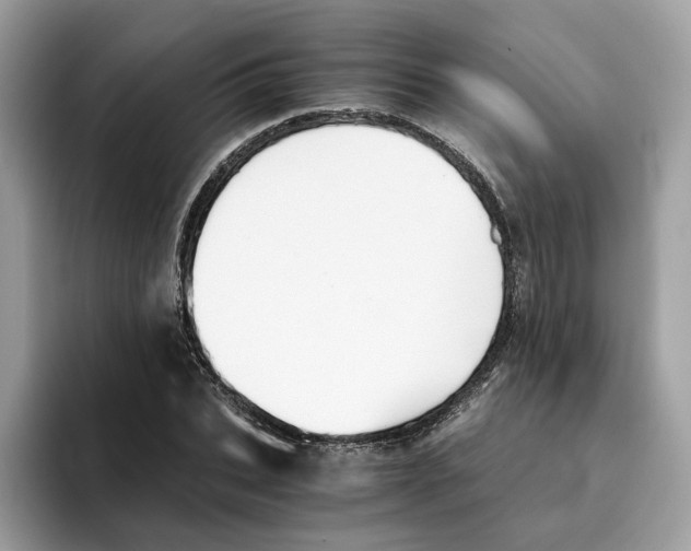 X0000094320927200711301205