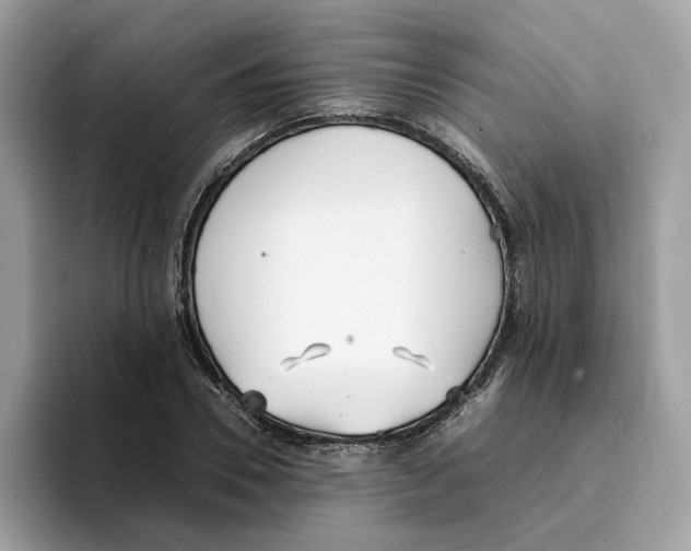 X0000094320930200711301205