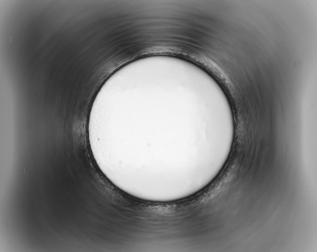 X0000094320937200711301205