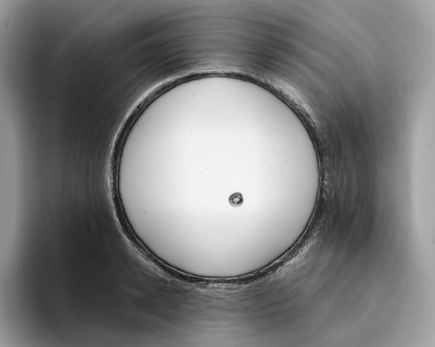 X0000094320942200711301205