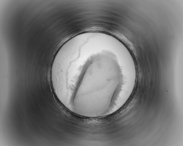 X0000094320945200711301205