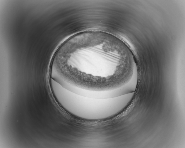 X0000094320948200711301205