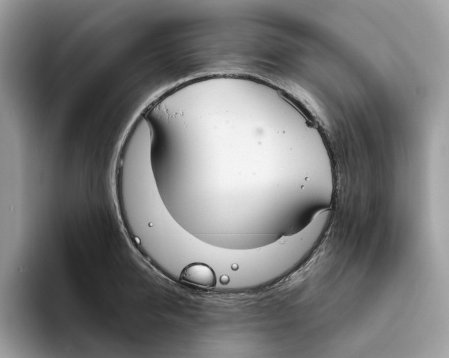 X0000094320950200711301206