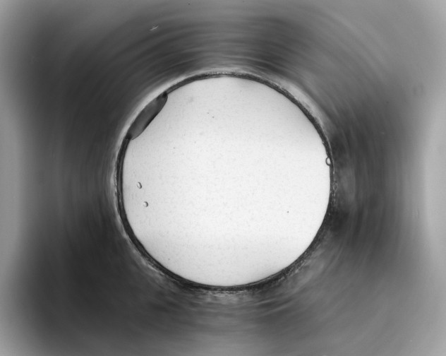 X0000094320951200711301206