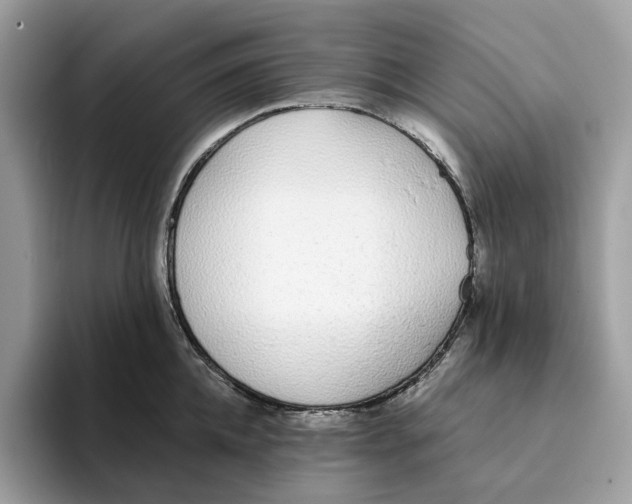 X0000094320952200711301206