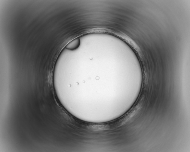 X0000094320953200711301206