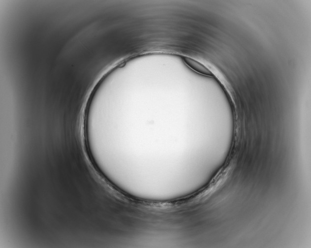 X0000094320957200711301206