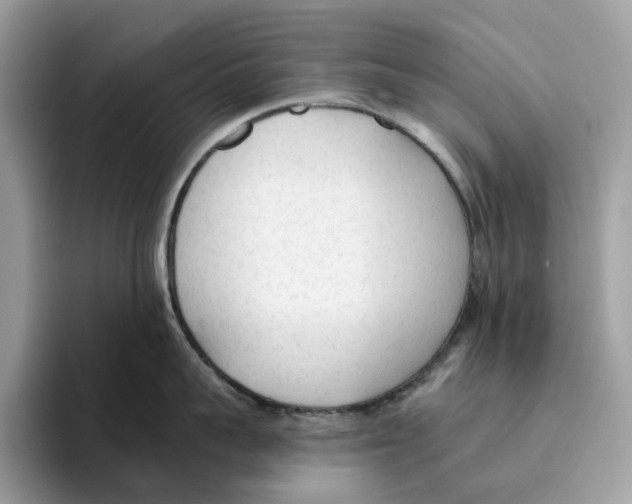 X0000094320959200711301206