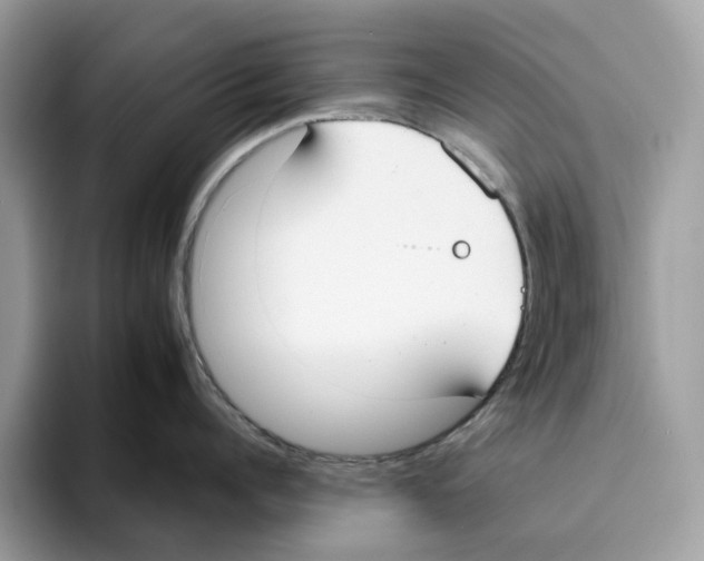 X0000094320960200711301206