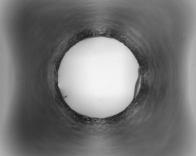 X0000094320961200711301205