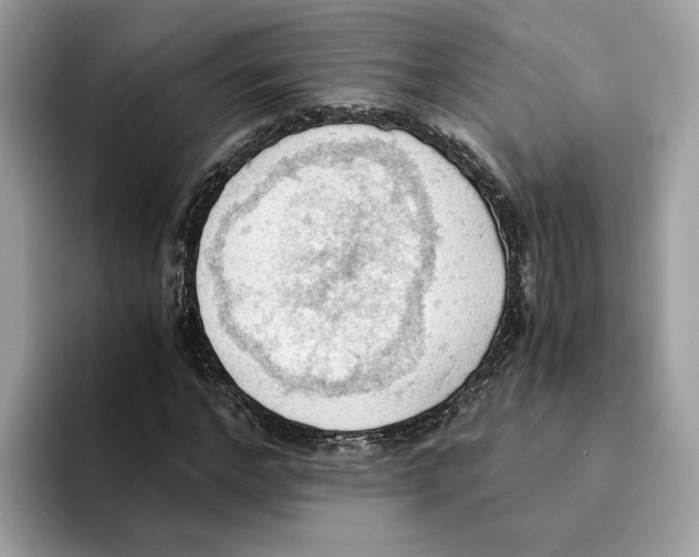 X0000094320968200711301205