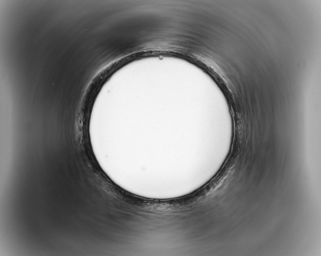 X0000094320971200711301205
