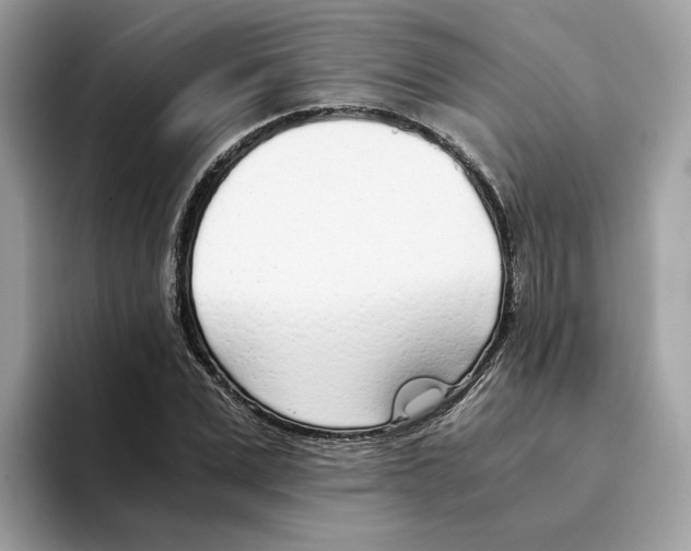X0000094320975200711301205