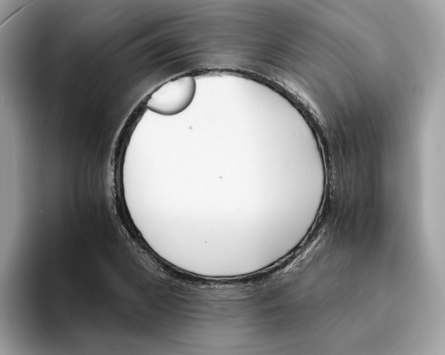 X0000094320976200711301205