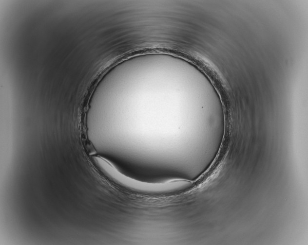 X0000094320977200711301205
