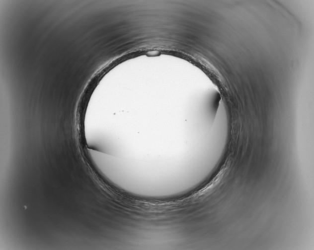 X0000094320981200711301205