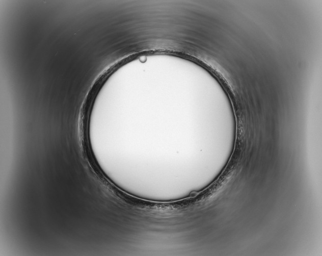 X0000094320983200711301205