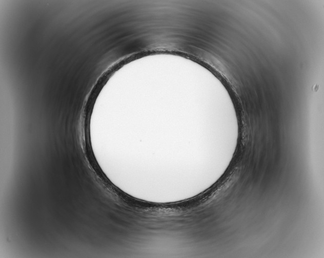 X0000094320984200711301205