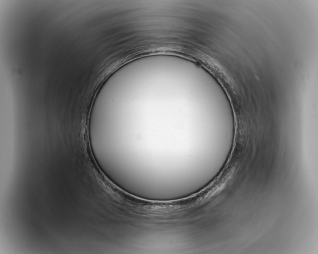 X0000094320985200711301205
