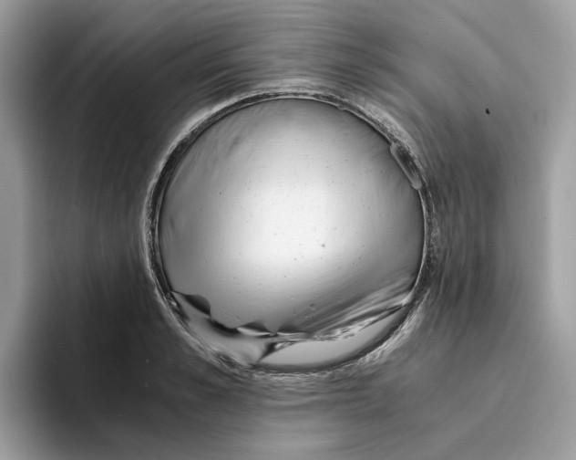 X0000094320989200711301205