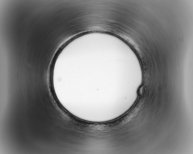 X0000094320991200711301205
