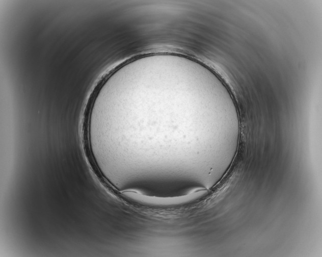 X0000094320995200711301205