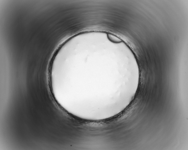 X0000094320998200711301205