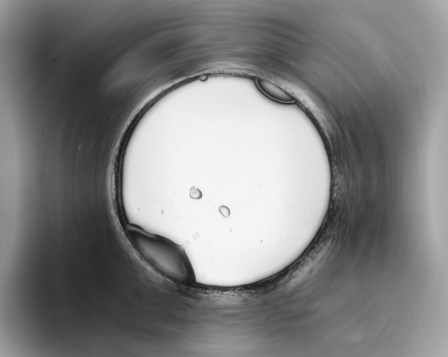 X0000094320999200711301205
