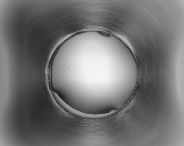 X0000094321003200711301204