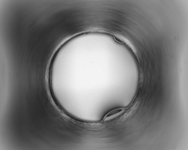 X0000094321007200711301204