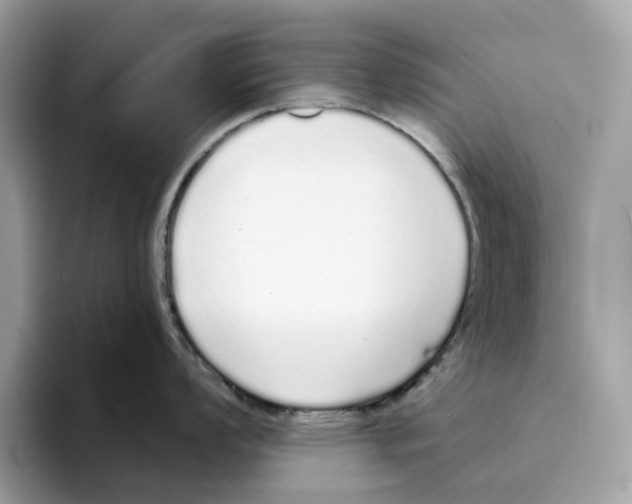 X0000094321008200711301204