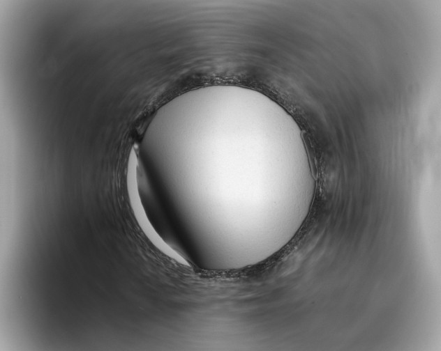 X0000094321010200711301204