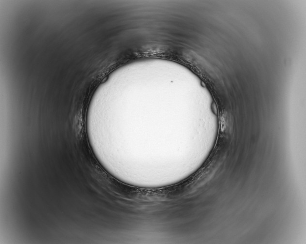 X0000094321011200711301204