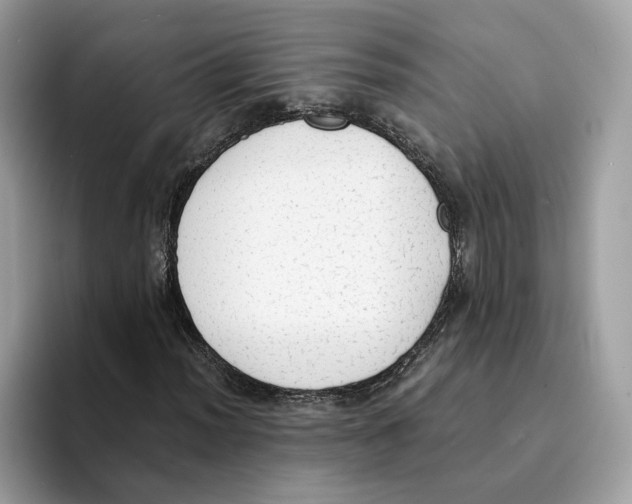X0000094321012200711301204