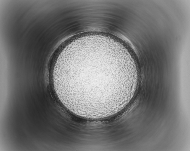 X0000094321019200711301204