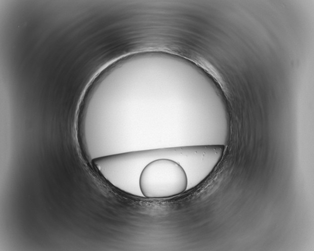X0000094321020200711301204