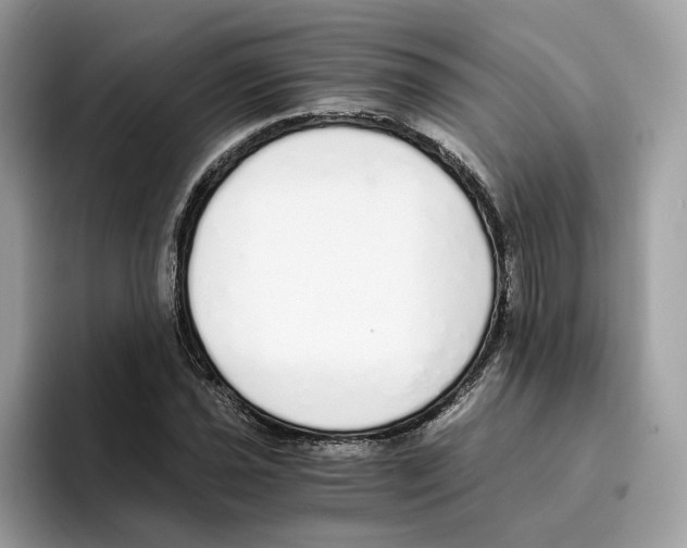 X0000094321021200711301204