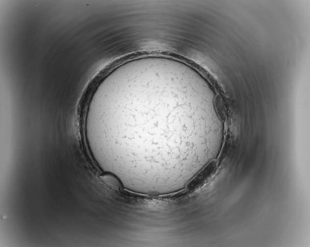 X0000094321022200711301204