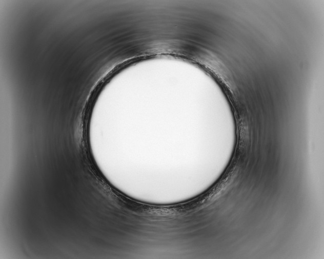 X0000094321023200711301204