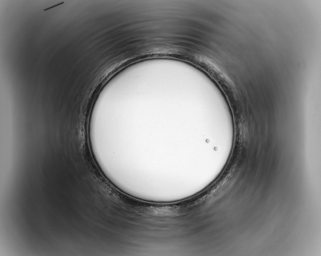 X0000094321025200711301204