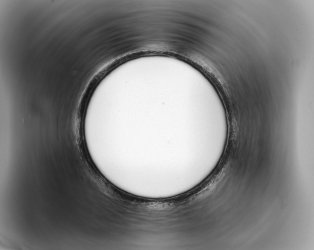 X0000094321029200711301204