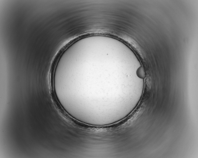 X0000094321030200711301204