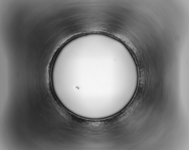 X0000094321031200711301204