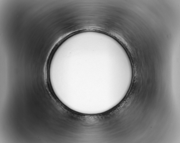 X0000094321032200711301204
