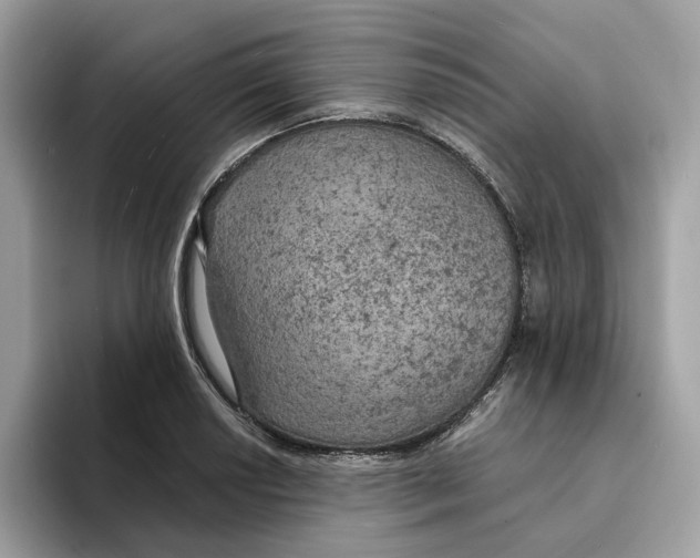 X0000094321034200711301204