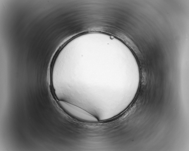 X0000094321036200711301204