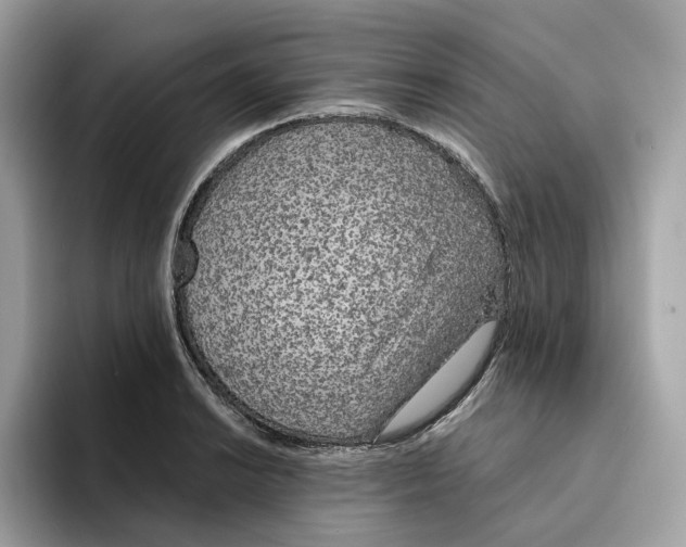 X0000094321038200711301204