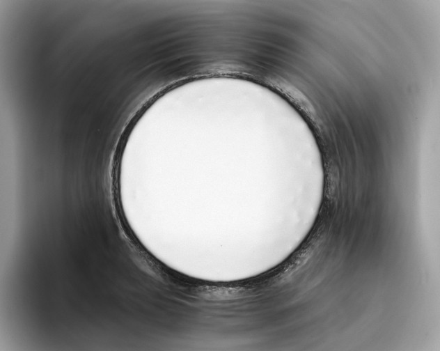 X0000094321039200711301204